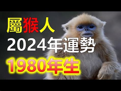 木猴 1980年|1980年生的生肖申猴：一生命運是如何的？